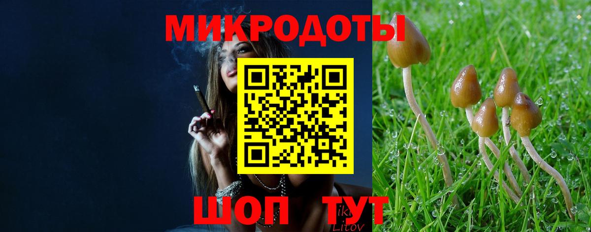 Псилоцибиновые грибы Psilocybine cubensis  Вход с VPN  Узловая  Галлюциногенные грибы Cubensis 